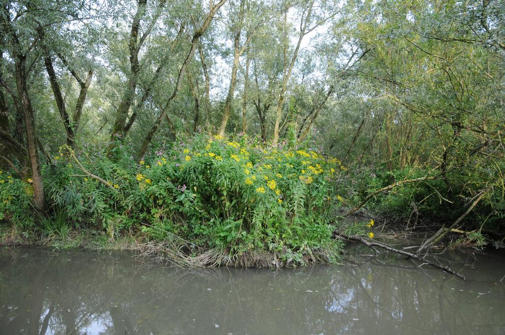 Отель De Brabantse Biesbosch Werkendam Экстерьер фото