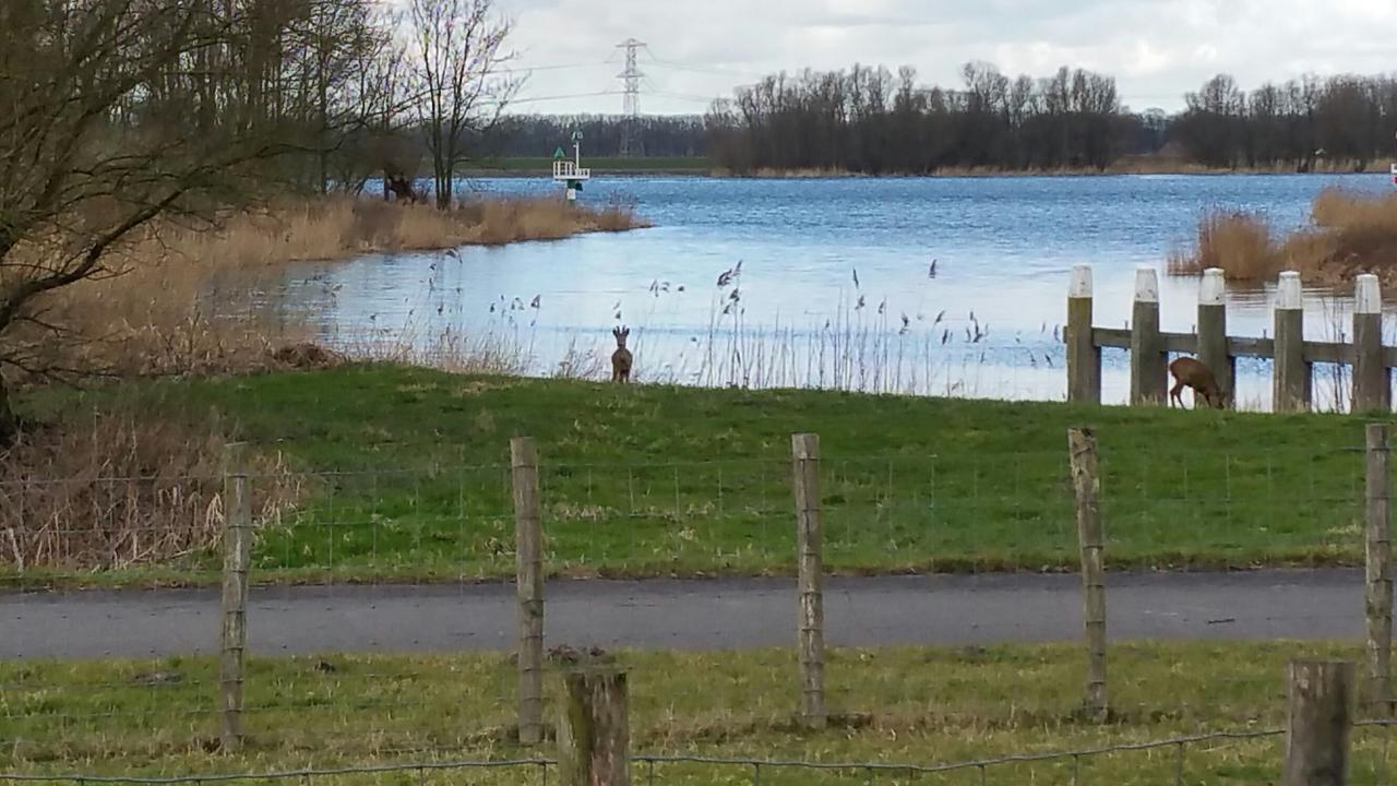 Отель De Brabantse Biesbosch Werkendam Экстерьер фото