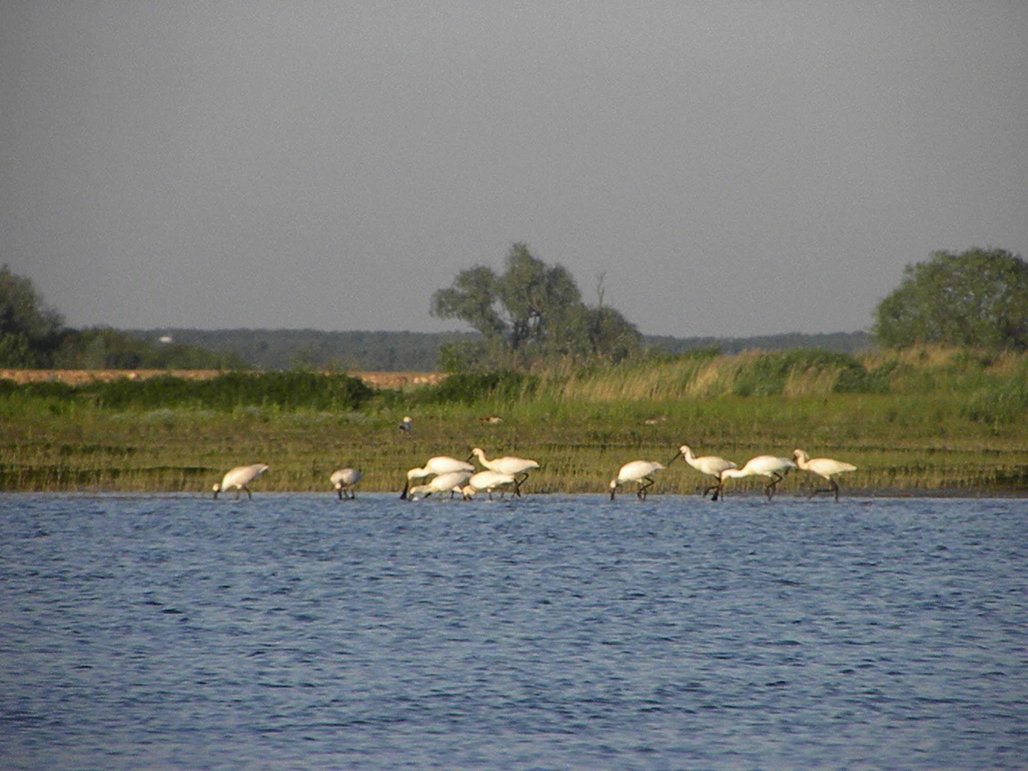 Отель De Brabantse Biesbosch Werkendam Экстерьер фото
