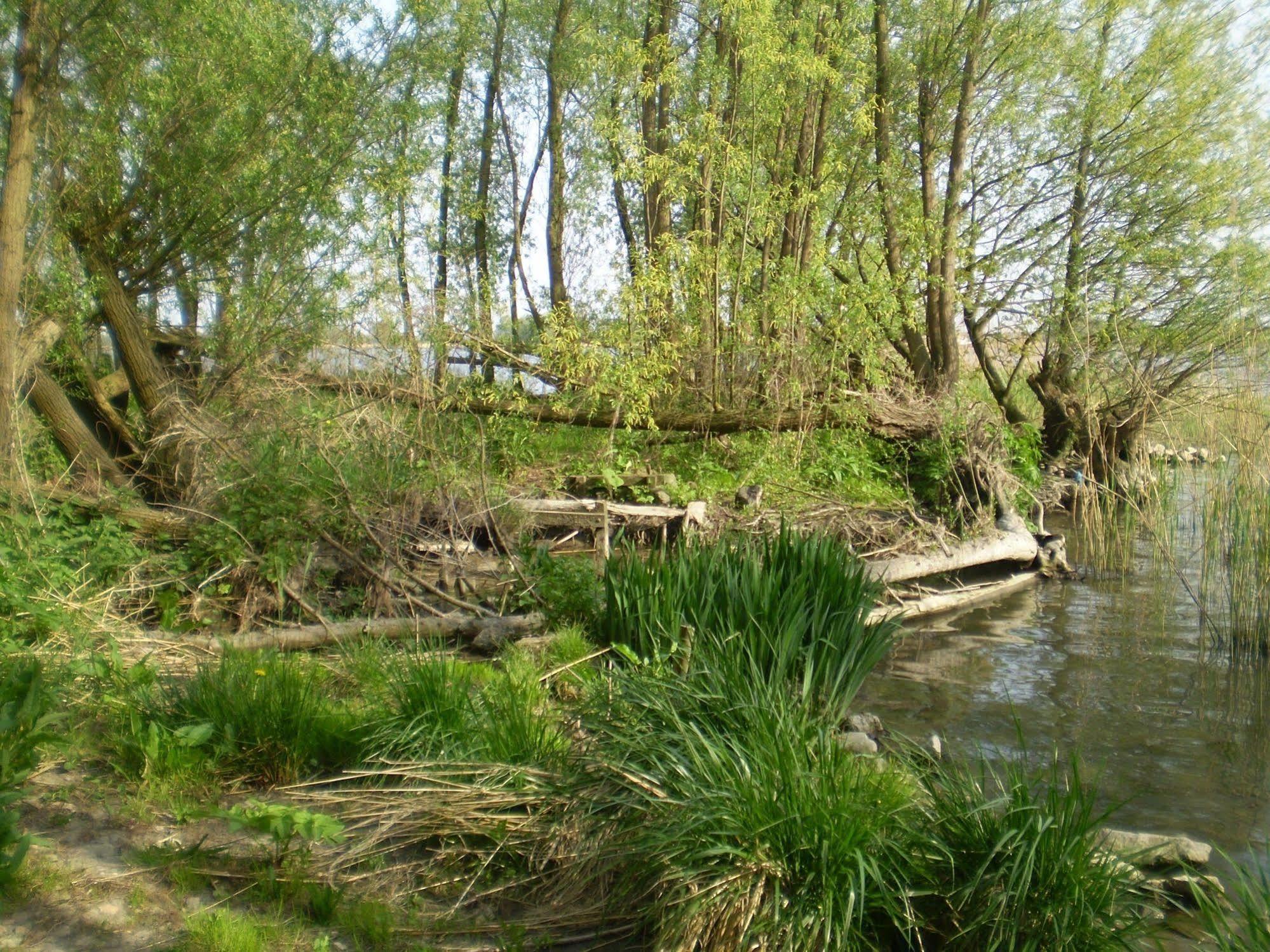Отель De Brabantse Biesbosch Werkendam Экстерьер фото
